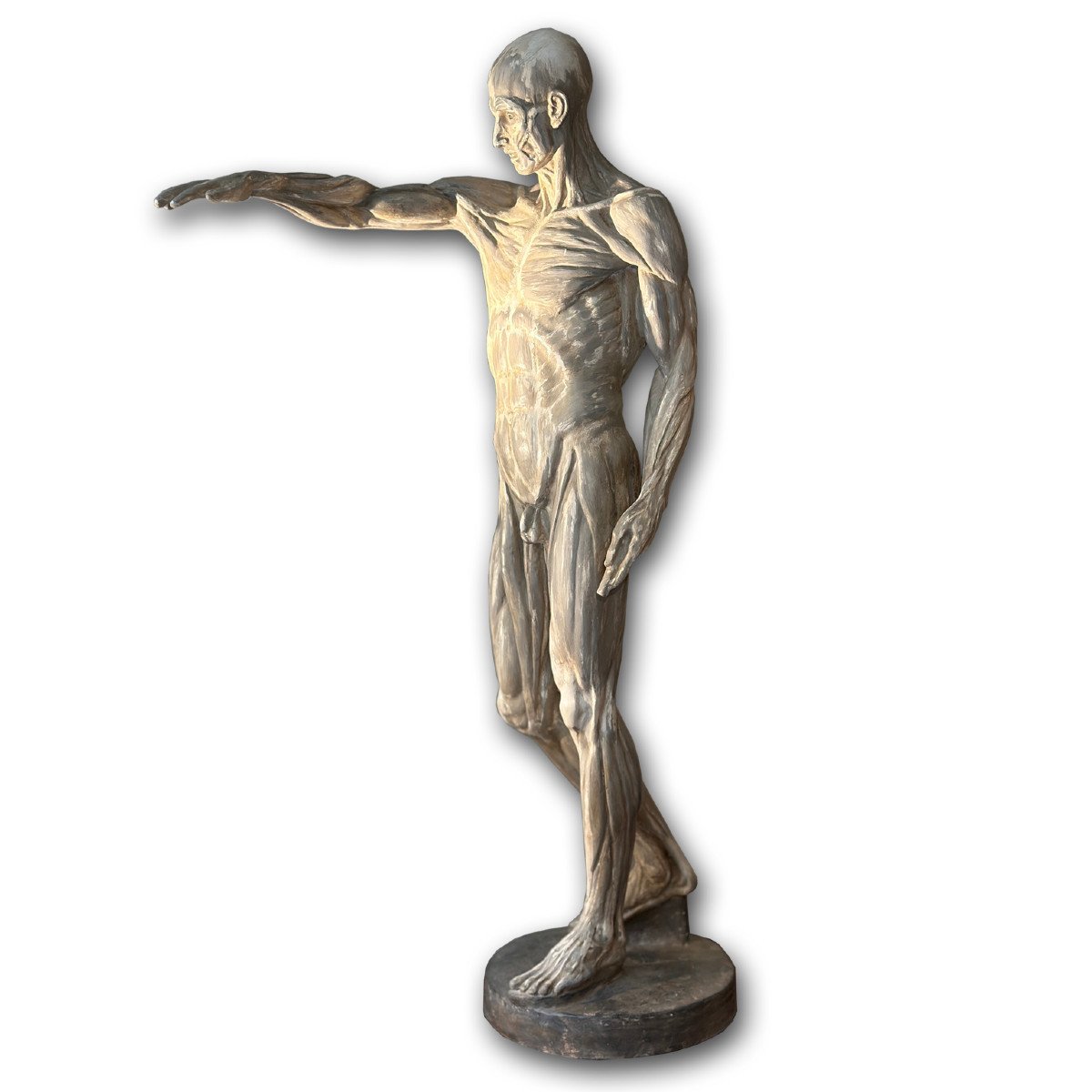 SCULTURA DI MODELLO ANATOMICO XIX SECOLO
