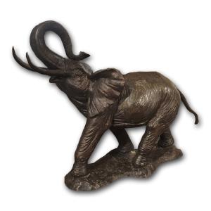 ELEFANTE IN BRONZO PRIMI XX SECOLO