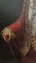 1790197-alb-6a4cd1b68a612.jpg