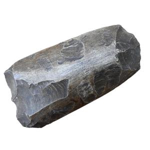 Polished Axe From The Neolithic Period (10,000 Bc To About 2000 Bc)