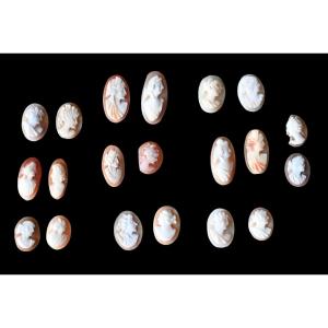 Lot Of 20 Antique Cameos Carved From Shell