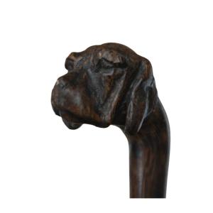 Antique Cane Carved With A Dog's Head, Circa 1900