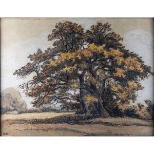 Jean Peské 1870-1949: Trees, Ink And Watercolor, Signed Lower Left
