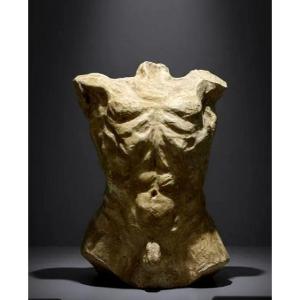 Sculpture - Male Torso In The Taste Of Ancient Greece - 20th Century