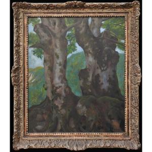 Czech Painter Emil Orlik1870 Prague – 1932 Berlin "trees"