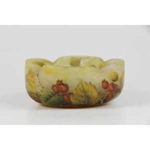 Daum Nancy Bowl (hawthorn)