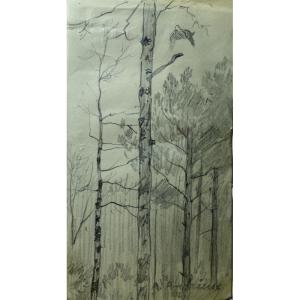 "VOL de BECASSE" par Alfred ANDRIEUX vers 1930