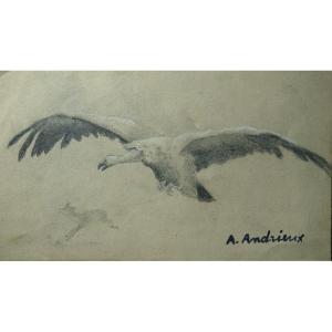 "vulture And Chamois" By Alfred Andrieux Around 1920