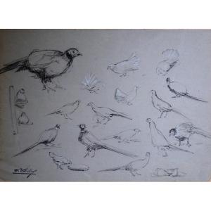 "pheasants, Pigeons, Chickens" By Edmond Vales Circa 1935