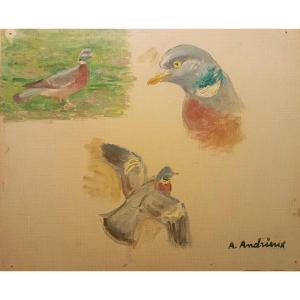 Studies Of "pigeon" By Alfred Andrieux Circa 1930