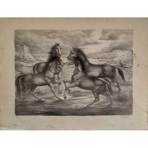 "the Horses" Lithograph By Marc Dautry ...1979