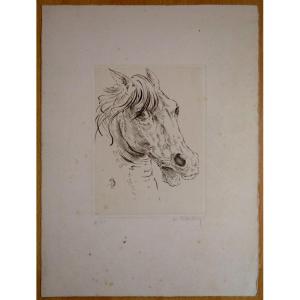 "horse Head" By Marc Dautry Circa 1980