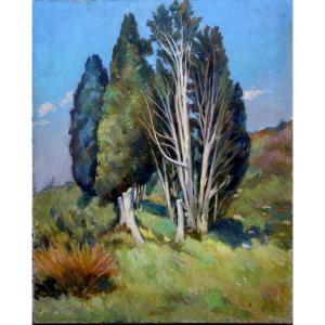 "the Big Trees" By André Lagrange Circa 1950