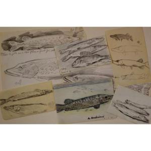 Set Of 7 Drawings "pikes" By Alfred Andrieux