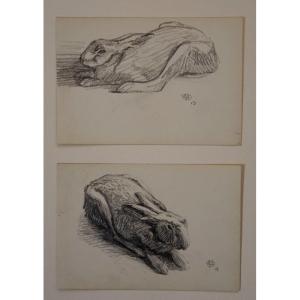 2 Drawings Of "lievre" By Alfred Andrieux ...1913