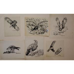 6 "rapaces" Drawings By Alfred Andrieux Around 1930/35