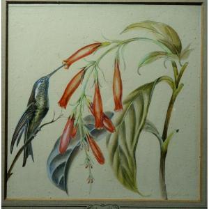 "colibri" By Renato Cataldi ....brazil 1945