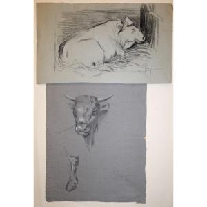 2 Drawings "bulls" By Charles Perron ...1911