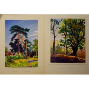 "trees" At l'Hautil And St Germain By G.genot ..1954/55