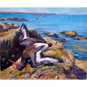 "oystercatcher" By Alfred Andrieux Circa 1930