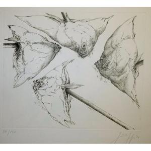 "the Fish" Etching By Gunter Grass ...1974