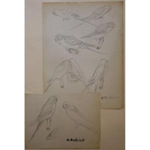 Drawings Of Alfred Andrieux