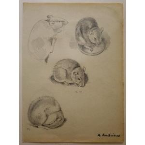 "mouses" By Alffred Andrieux ..1920
