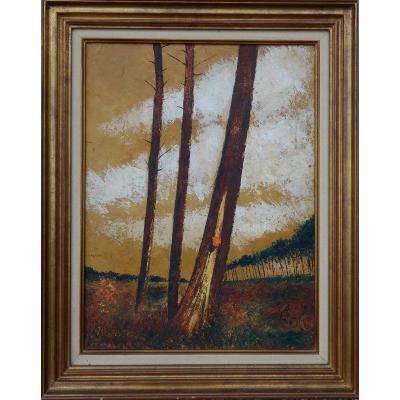 "Pins des LANDES" par L.FAUQUE vers 1970