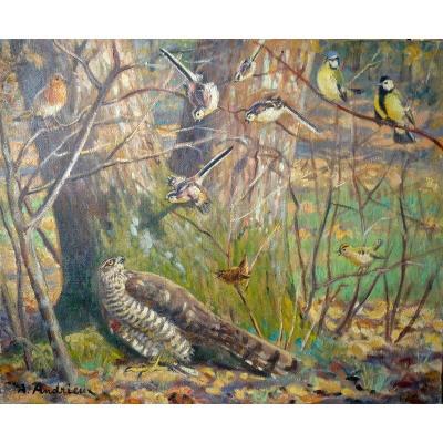 "l'epervier Désailé" By Alfred Andrieux Around 1930