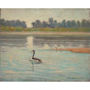 "great Crested Grebe" By Alfred Andrieux ...1943