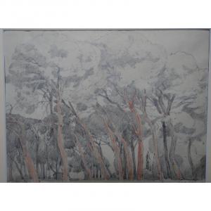 "cherchell" By François De Marliave ...algeria 1944