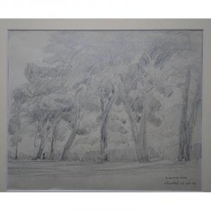 "cherchell" By François De Marliave ...algeria 1944