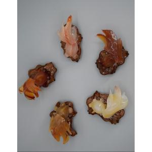 Five Red Fish In Carved Agate - China, Mid-20th Century