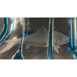 "aquarium" Vase, Wheel-engraved Decoration And Glass Tears, Delvaux Edition, C. 1925