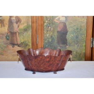 Table Planter In Thuya Napoleon III Period