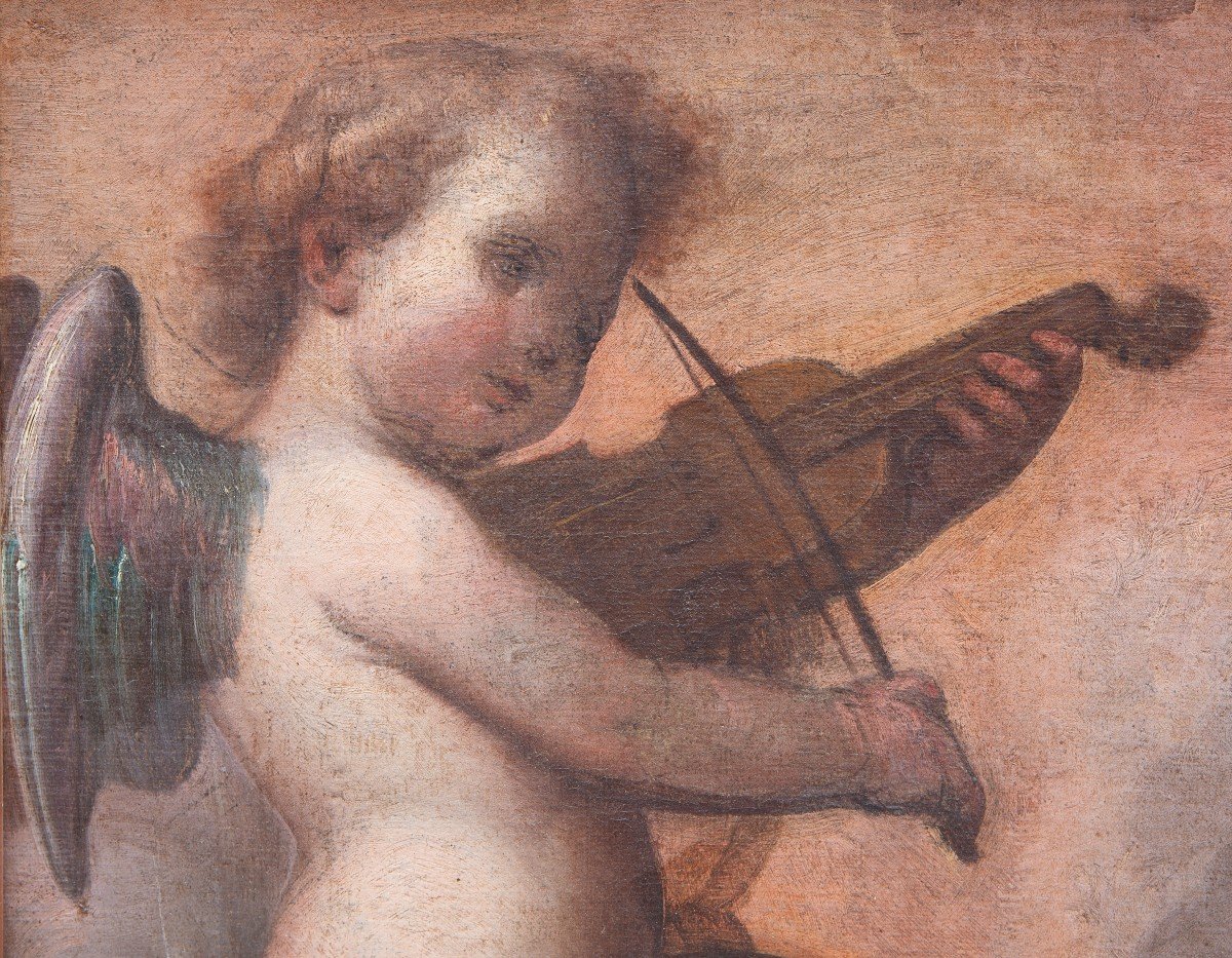 Guglielmo Caccia detto il Moncalvo (1568 –1625)  San Francesco d’Assisi confortato da un angelo-photo-3