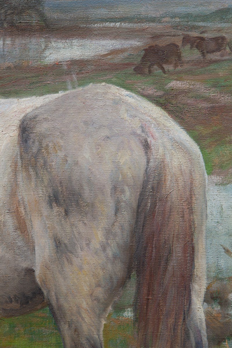 Ruggero Panerai  ( 1862 – 1923) Cavallo al pascolo-photo-4