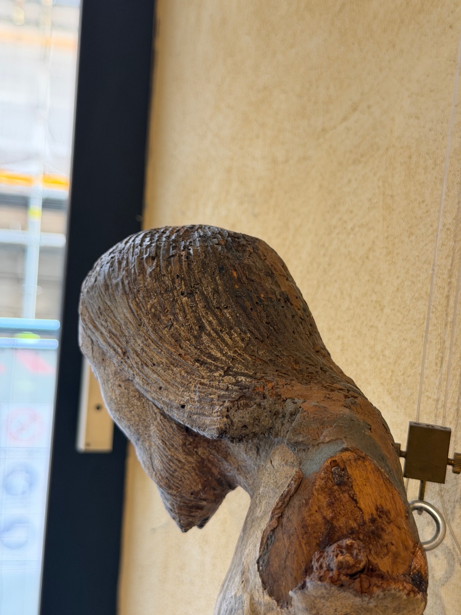 Cristo Crocifisso Gotico in Legno Policromo – Lombardia, XIV Secolo-photo-4