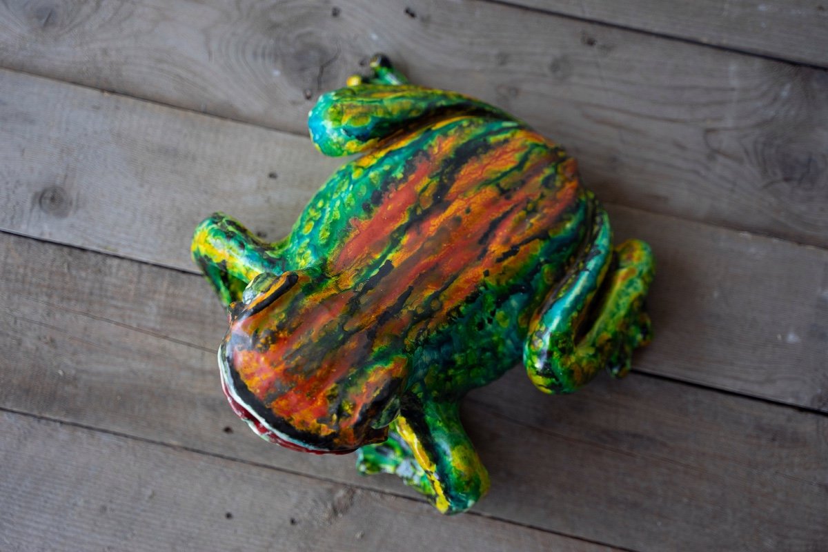 Ceramica di Albisola rappresentante una rana-photo-4