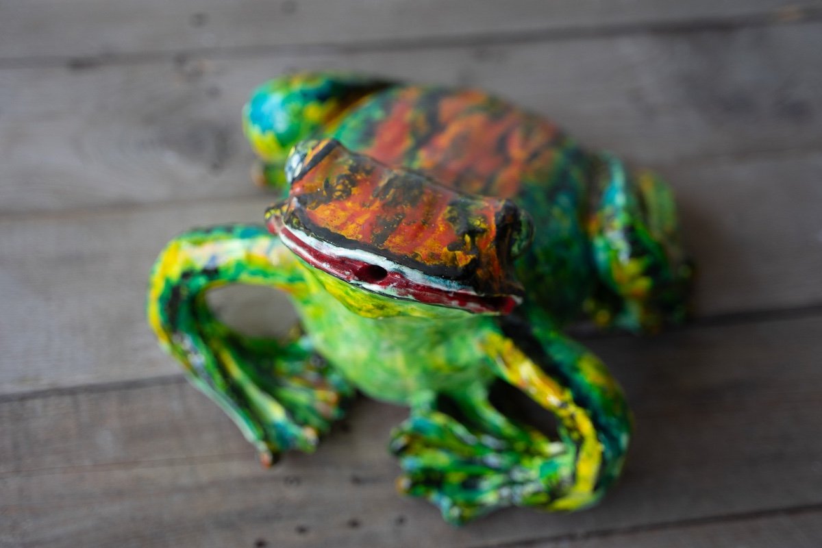 Ceramica di Albisola rappresentante una rana-photo-1