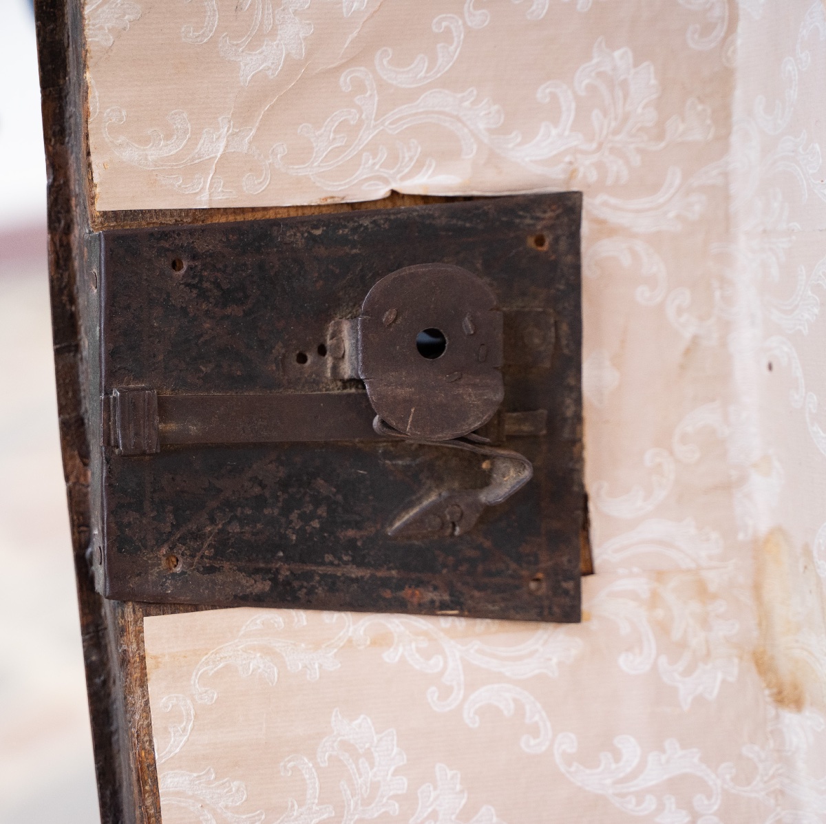 Comò Vicentino in Noce e Radica – XVIII secolo-photo-3