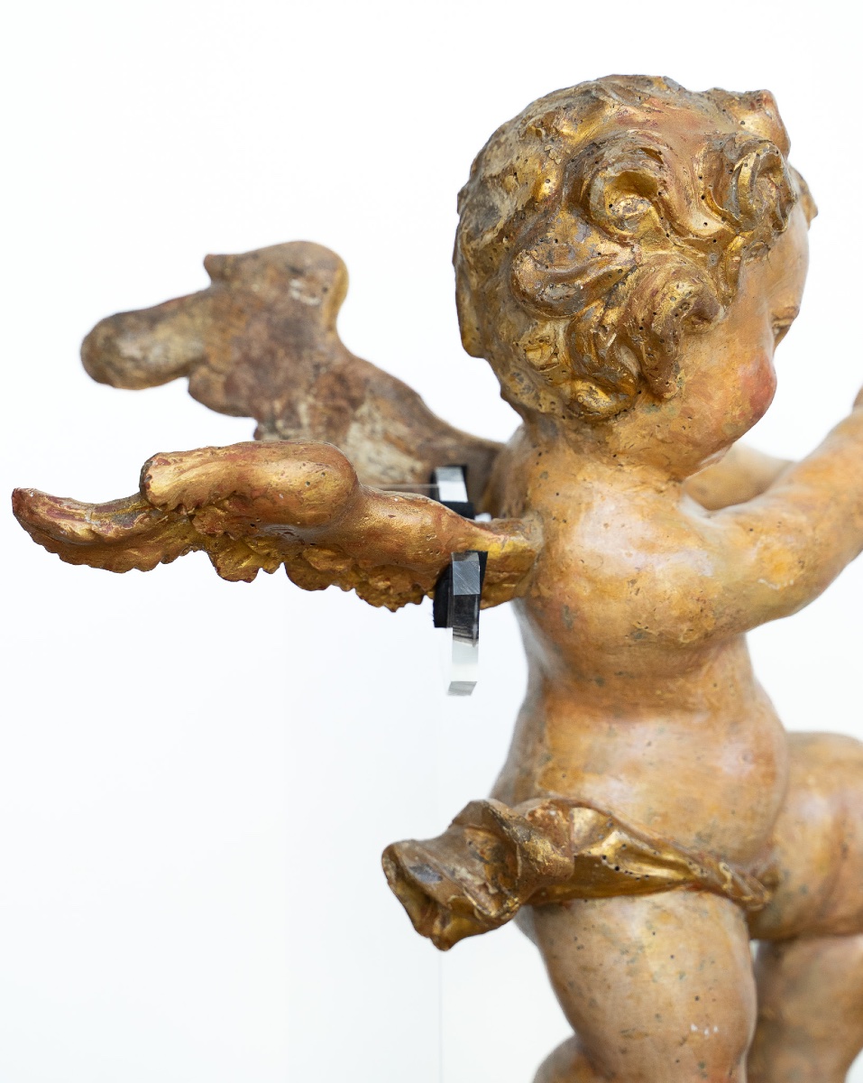 Coppia di putti in legno dorato, Venezia-photo-6