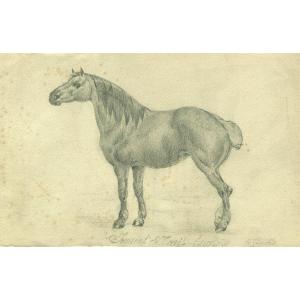 Jean Richard Goubie (1842-1899) - English Draft Mare