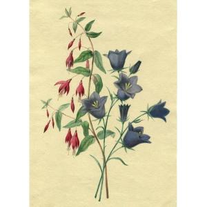 Watercolor Of Flowers - Original Drawing