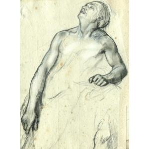 3 Studies - Former Prat Collection Bearing The Collection Stamp