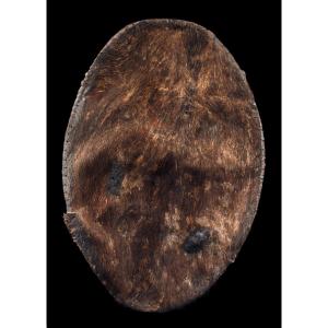 Shield, Papua New Guinea, Oceania, Primitive Art, Oceanic Art, Tribal Art, 74 Cm