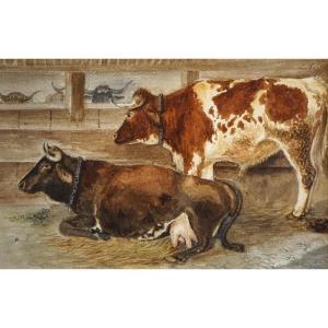 Pastoral Scene With Cows / Year 1835 / Gouache On Parchment