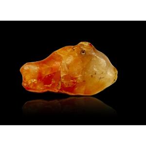  Egypt: Ancient Egyptian Amulet: Carnelian Fish 