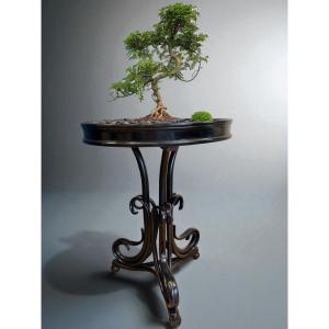 Thonet Planter Ref528