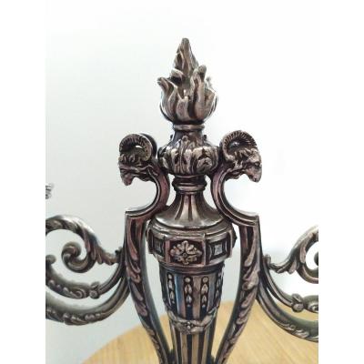 Napoleon III Chandeliers From Victor Saglier